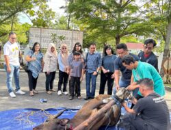 Ferdinan Adinoto: Idul Adha Pertebal Kepedulian Kita