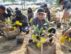 PLN Peduli Lingkungan: Penanaman Pohon 6.000 Mangrove untuk Pelestarian Lingkungan di Bali