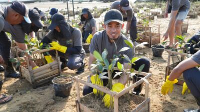 PLN Peduli Lingkungan: Penanaman Pohon 6.000 Mangrove untuk Pelestarian Lingkungan di Bali