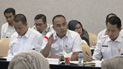 Dhona Fiermansyah Lubis Kakantah Kabupaten Banyuasin.