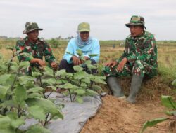 Komsos di Lahan Pertanian, Hangatnya Kebersamaan Satgas TMMD dan Petani di Desa Godo