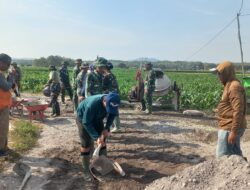Dari Hamparan Sawah Desa Godo, Semangat Kebersamaan Mengiringi Betonisasi Jalan
