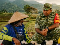 Duduk Bersama Petani di Tengah Sawah, Satgas TMMD Pati Bangun Kedekatan dengan Warga Desa Godo