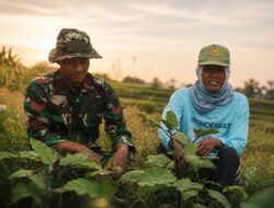 Obrolan Sederhana di Lahan Pertanian, TNI dan Petani Kuatkan Kebersamaan