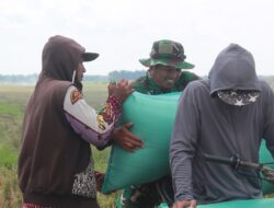 Manfaatkan Waktu Luang, Anggota Satgas TMMD Bantu Petani Angkat Gabah di Sawah