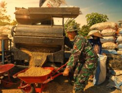 TMMD Kodim Pati Perkuat Ketahanan Pangan Lewat Pendampingan Petani Jagung