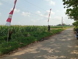 Persiapan Penutupan TMMD Reguler ke-128, Sertu Nursanto Pasang Umbul-Umbul di Lokasi Kegiatan
