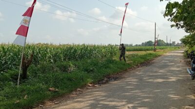 Persiapan Penutupan TMMD Reguler ke-128, Sertu Nursanto Pasang Umbul-Umbul di Lokasi Kegiatan