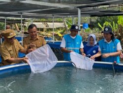 PLN Peduli Budidaya Ikan Nila Bioflok untuk Dorong Kemandirian Ekonomi Desa Situ Udik