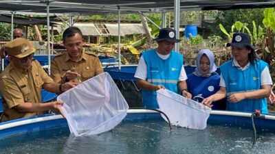 PLN Peduli Budidaya Ikan Nila Bioflok untuk Dorong Kemandirian Ekonomi Desa Situ Udik