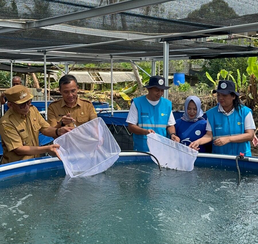 PLN Peduli Budidaya Ikan Nila Bioflok untuk Dorong Kemandirian Ekonomi Desa Situ Udik