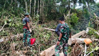 Satgas TMMD Ke-129 Tunjukkan Dedikasi, Ambil Material Kayu untuk Renovasi RTLH di Desa Umbele