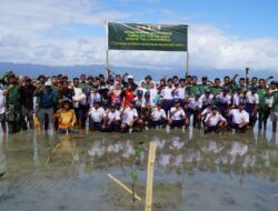 Satgas TMMD Ke-129 Kodim 1311/Morowali Bersama Warga Tanam 1.000 Pohon Mangrove di Kepulauan Umbele