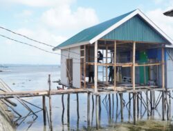 Renovasi RTLH Milik Ibu Samsiah di Desa Umbele Masuki Tahap Pemasangan Dinding dan Lantai