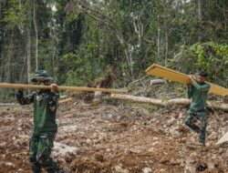 Satgas TMMD Bersama Masyarakat Ambil Material Papan untuk Pekerjaan RTLH