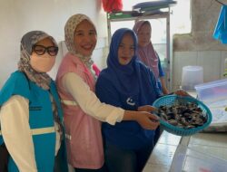 Panen Ikan Nila Bioflok, TJSL PLN Dorong Kemandirian Ekonomi Masyarakat Desa Situ Udik