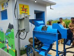 Dari 105 Menjadi 273 Ton Gabah, TJSL PLN Tumbuhkan Harapan Baru bagi Petani Ngrukem